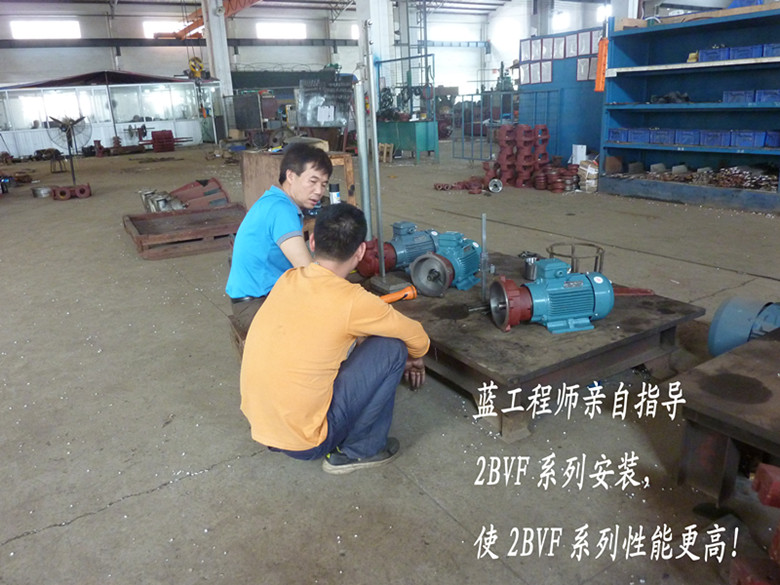 佛真工程師親自指導(dǎo)2BVF水環(huán)式真空泵的安裝，嚴(yán)格的安裝要求對水環(huán)式真空泵性能提高有著重要的作用